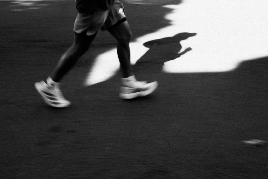 pexels photo 33995259